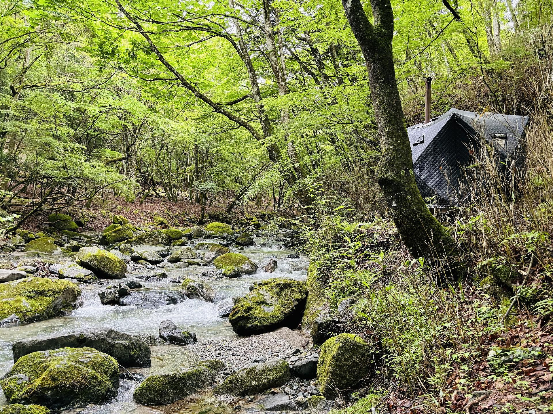 テントサウナと道志川