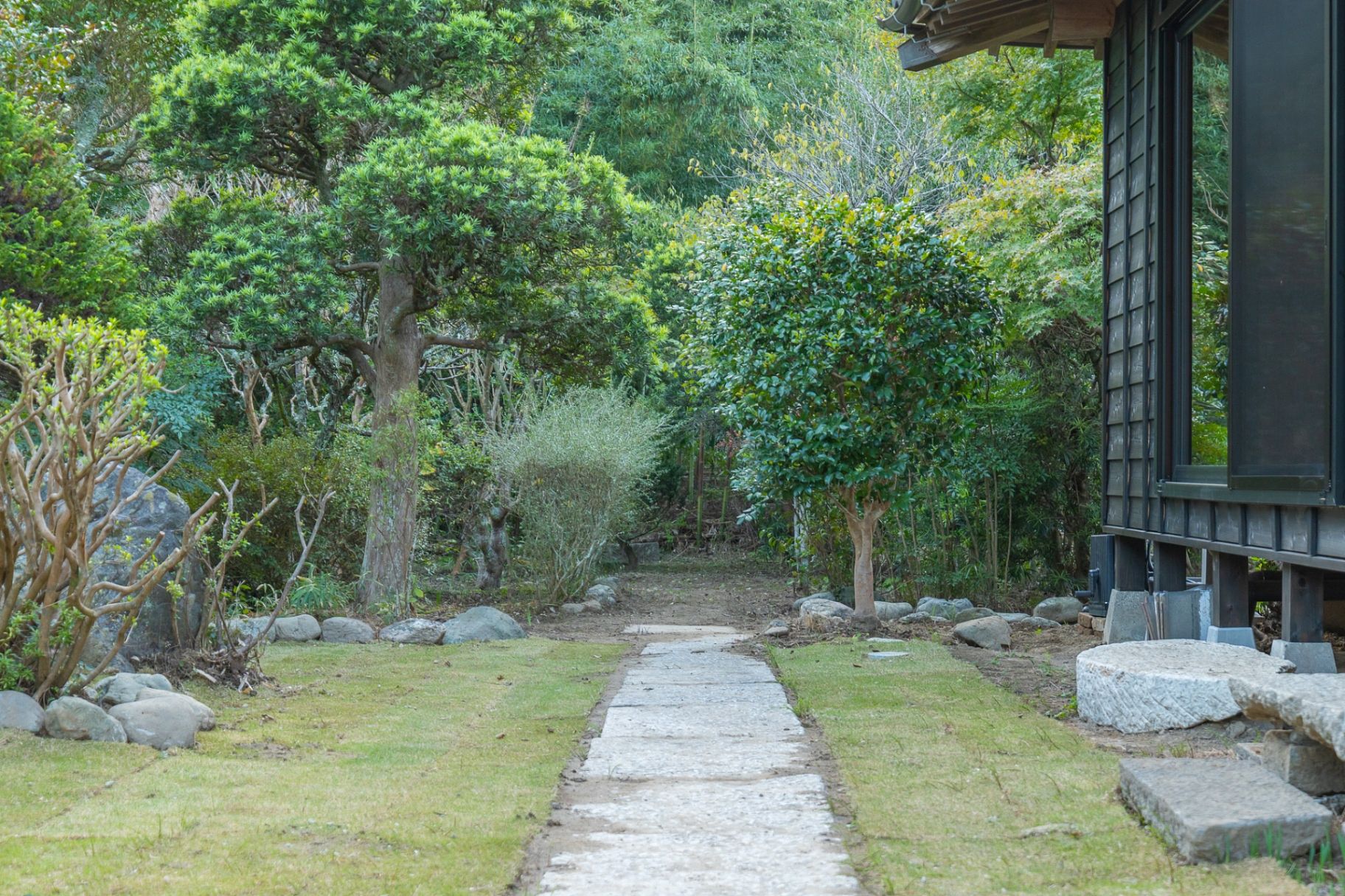 広い裏庭に続く風景