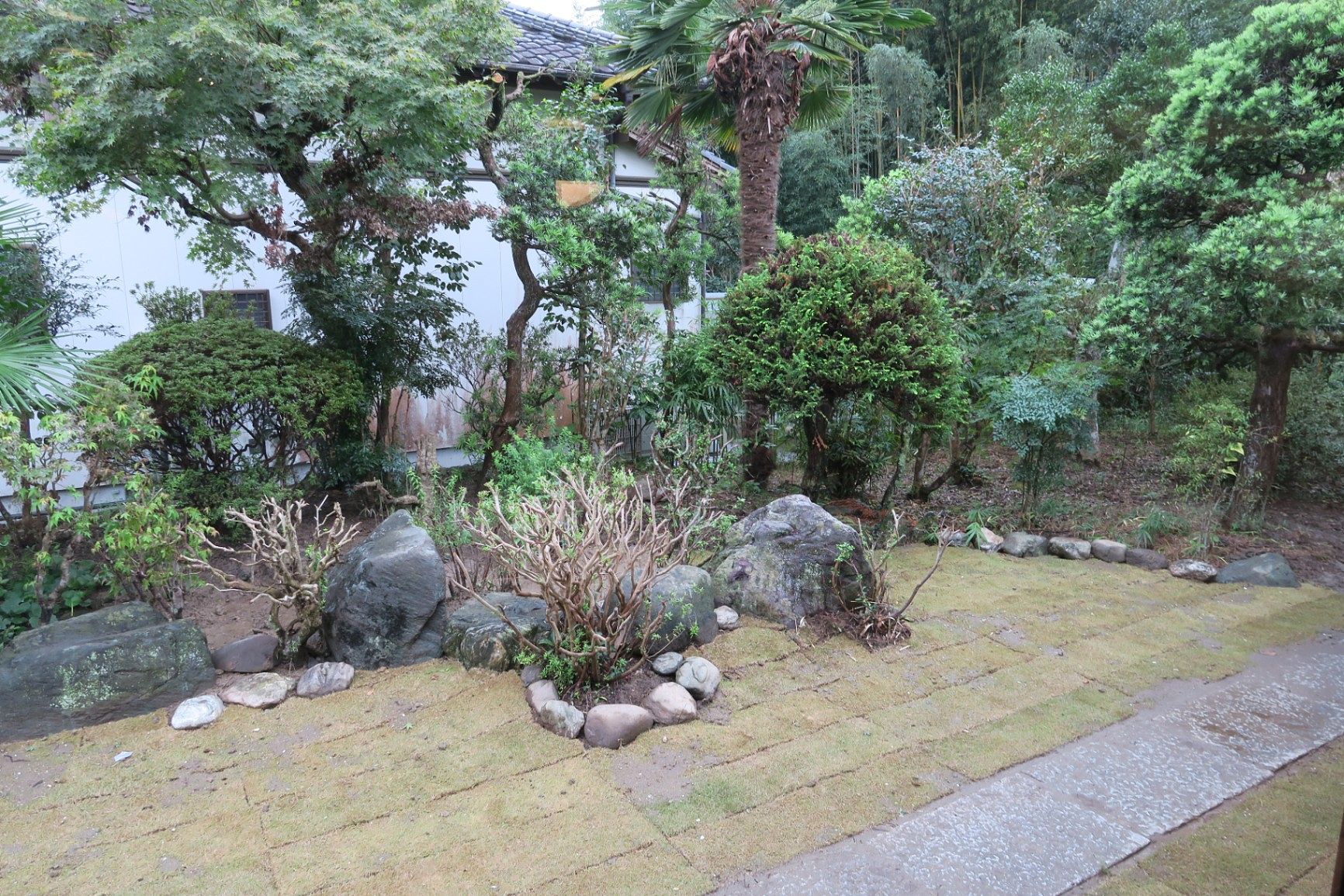 建物南側の庭園