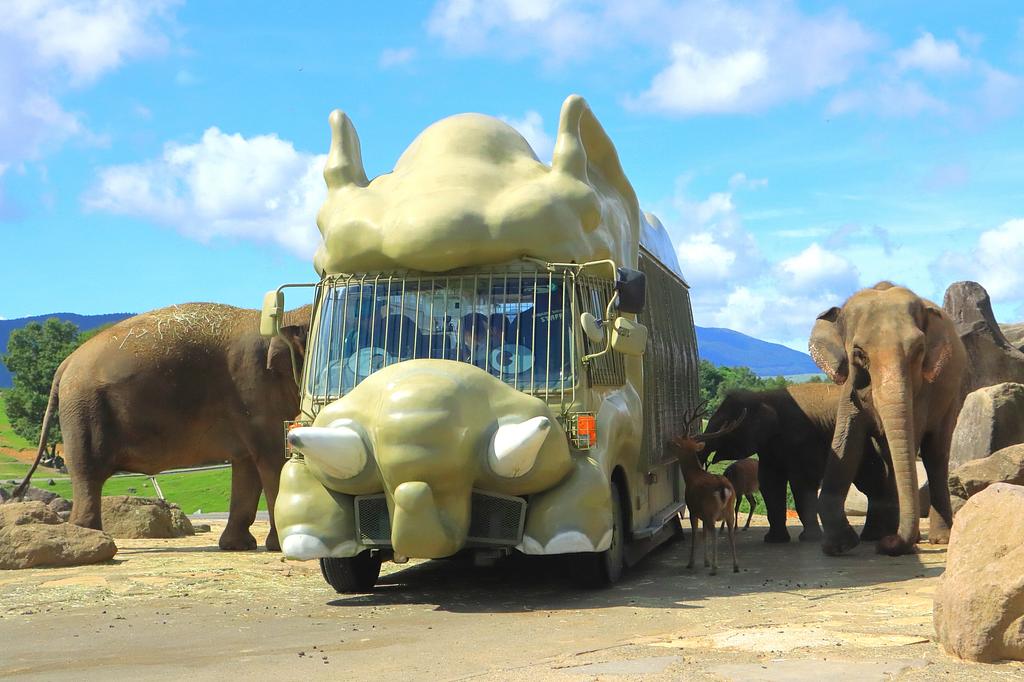 大分県 | アフリカンサファリ