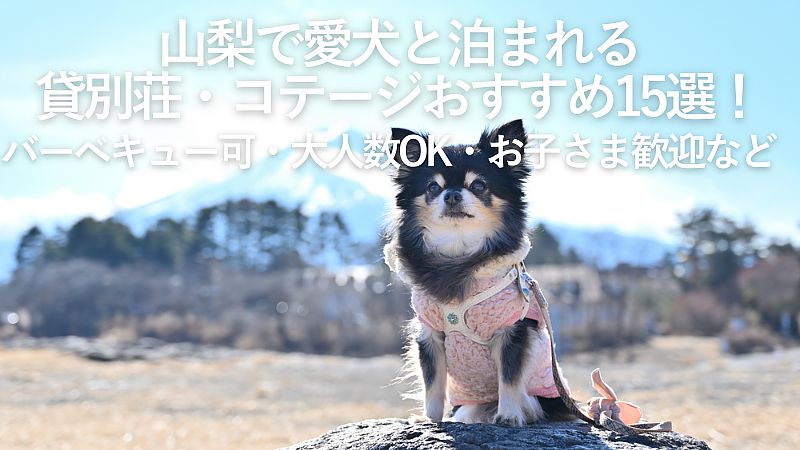 【2026年最新】山梨で愛犬と泊まれる貸別荘・コテージおすすめ15選！バーベキュー可・大人数OK・お子さま歓迎など
