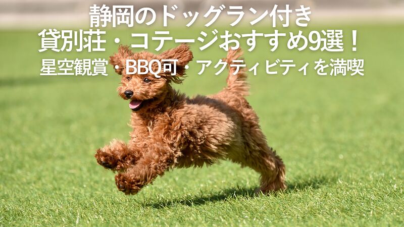 【2026年最新】静岡のドッグラン付き貸別荘・コテージおすすめ9選！星空観賞・BBQ可・アクティビティを満喫