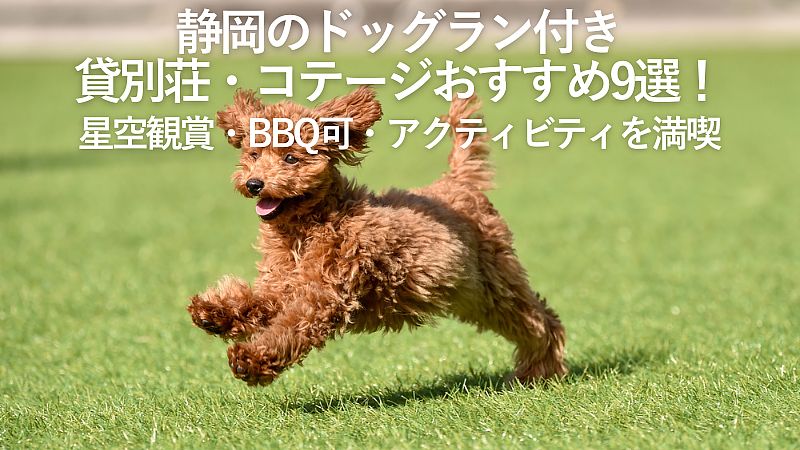 【2026年最新】静岡のドッグラン付き貸別荘・コテージおすすめ9選！星空観賞・BBQ可・アクティビティを満喫