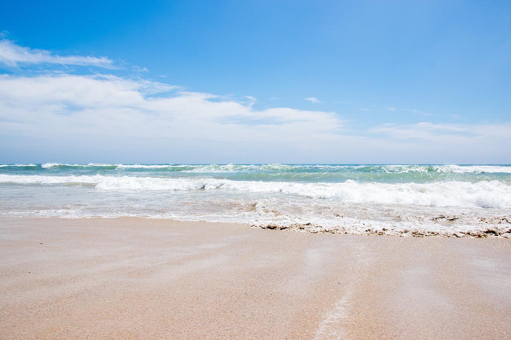 愛犬との朝散歩にぴったりな、青空と海が広がる御宿海岸