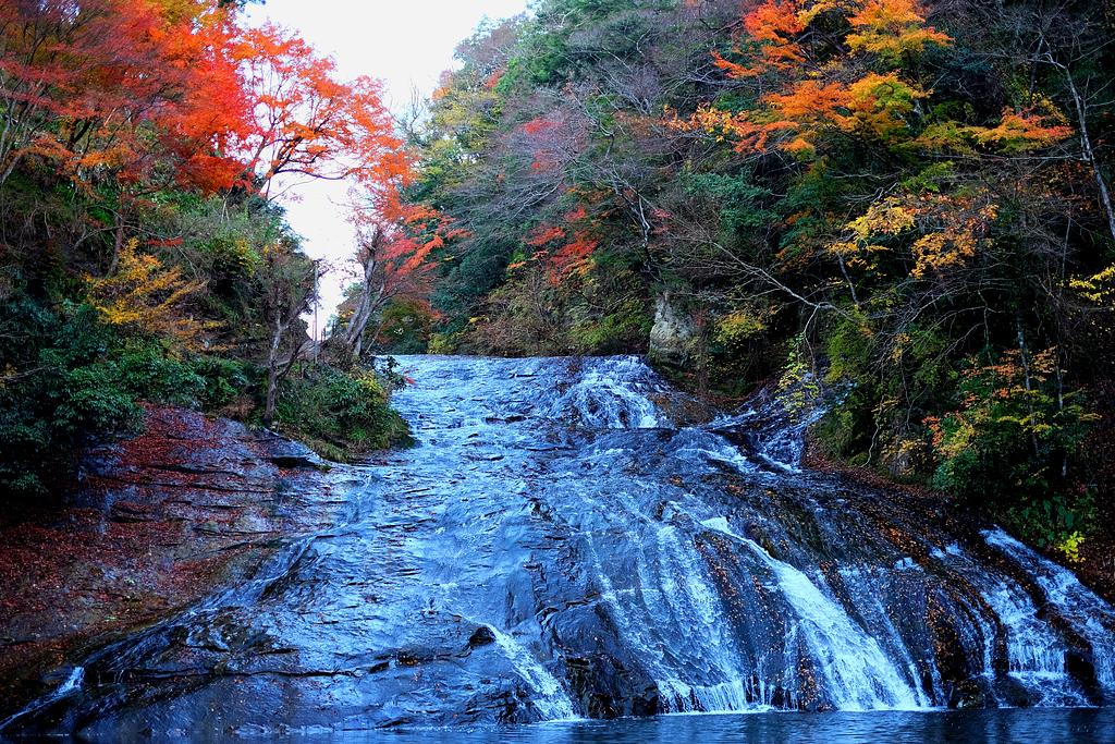 紅葉に囲まれた岩肌を水が流れ落ちる養老渓谷の景色