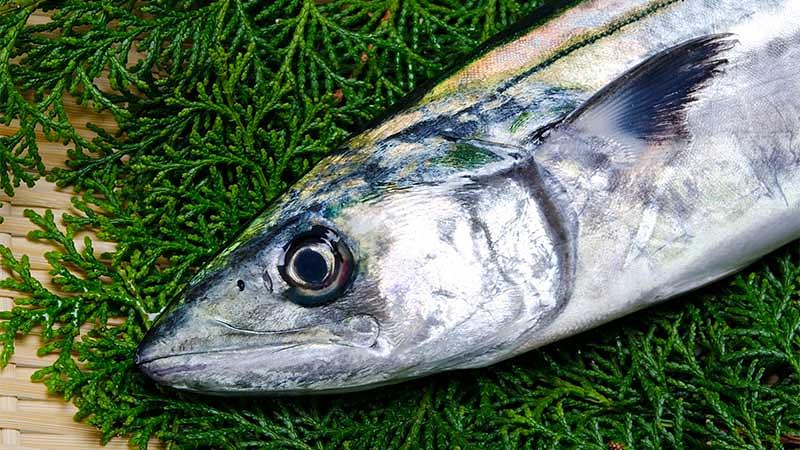 3月に旬を迎える魚介類・海藻7選