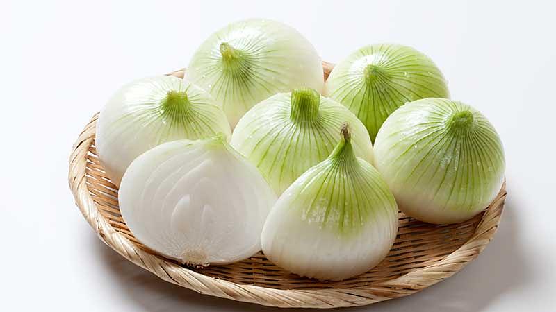 3月に旬を迎える野菜・山菜10選