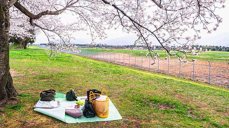 【必需品】絶対に忘れない基本の持ち物