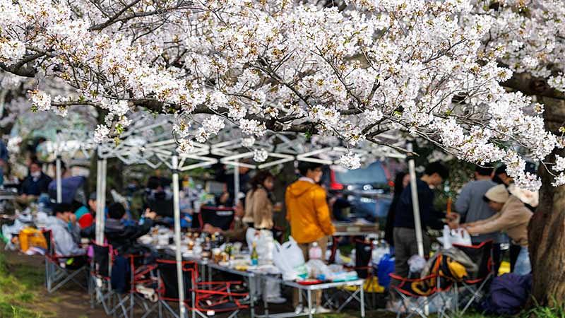 【便利グッズ】あると快適度が上がるアイテム