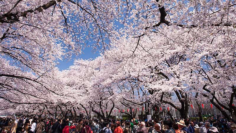 【シーン別】特別な持ち物リスト