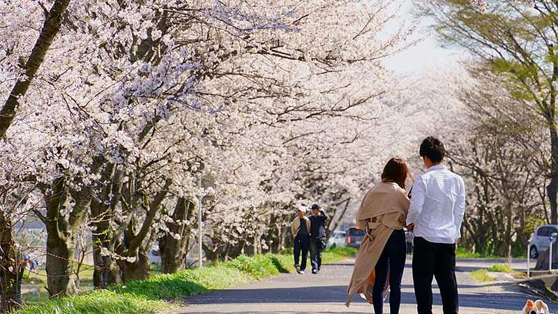服装と寒さ・天気対策グッズ