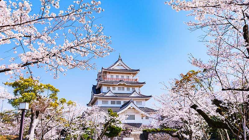 千葉の花見に関するQ&A