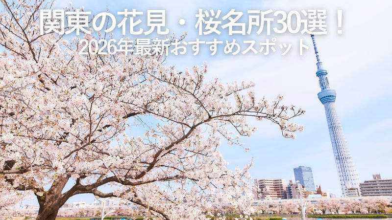関東の花見・桜名所30選！2026年最新おすすめスポット