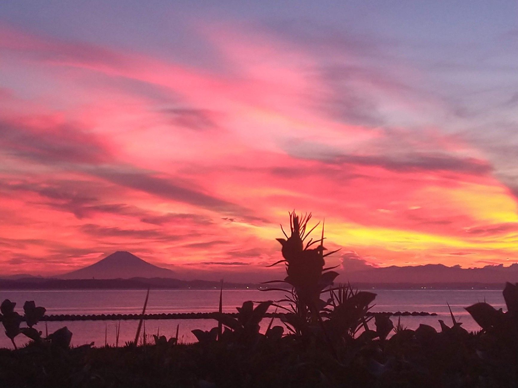 Sumera Resort Shinmaiko-image