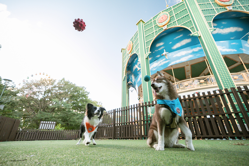 那須ハイランドパーク