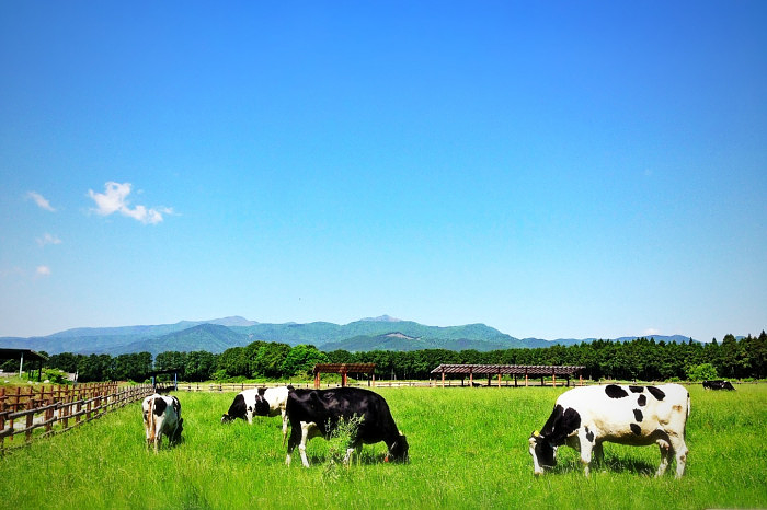 那須千本松牧場