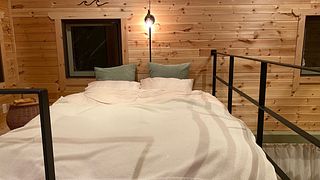 クイーンベット