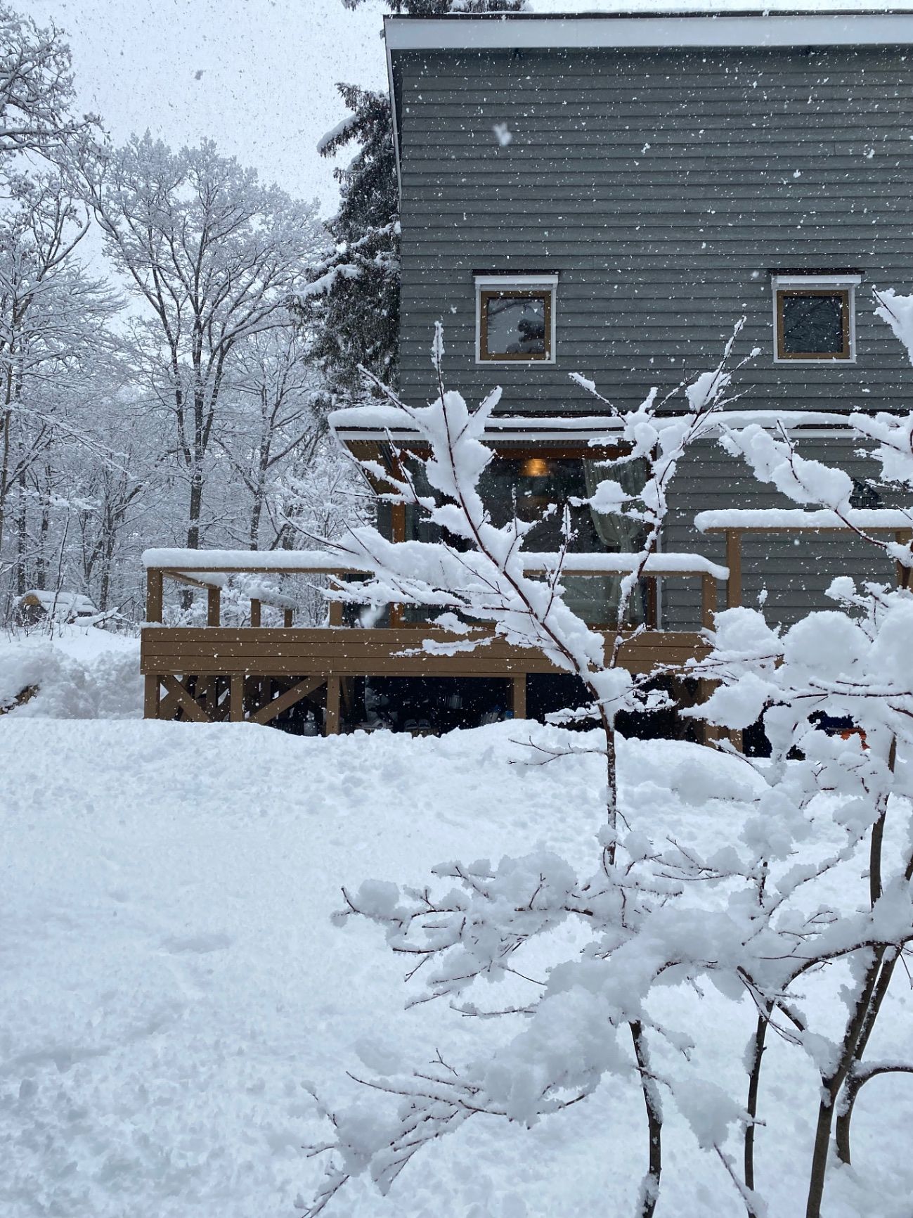 hideaway hakuba-image