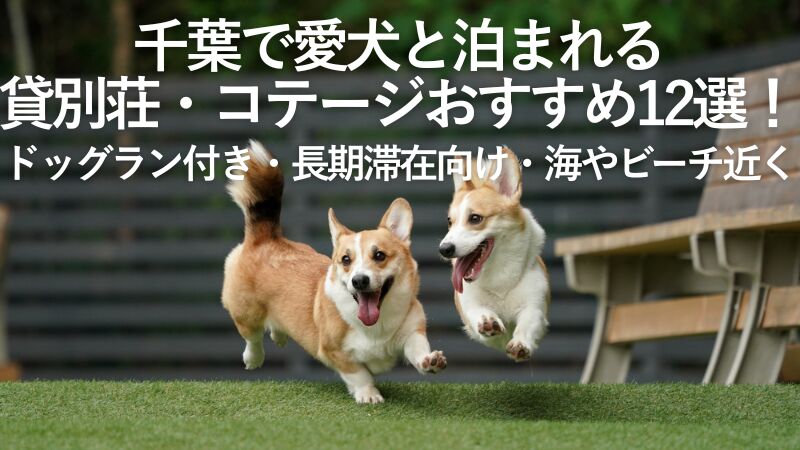 【2026年最新】千葉で愛犬と泊まれる貸別荘・コテージおすすめ12選!ドッグラン付き・長期滞在向け・海やビーチ近くなど