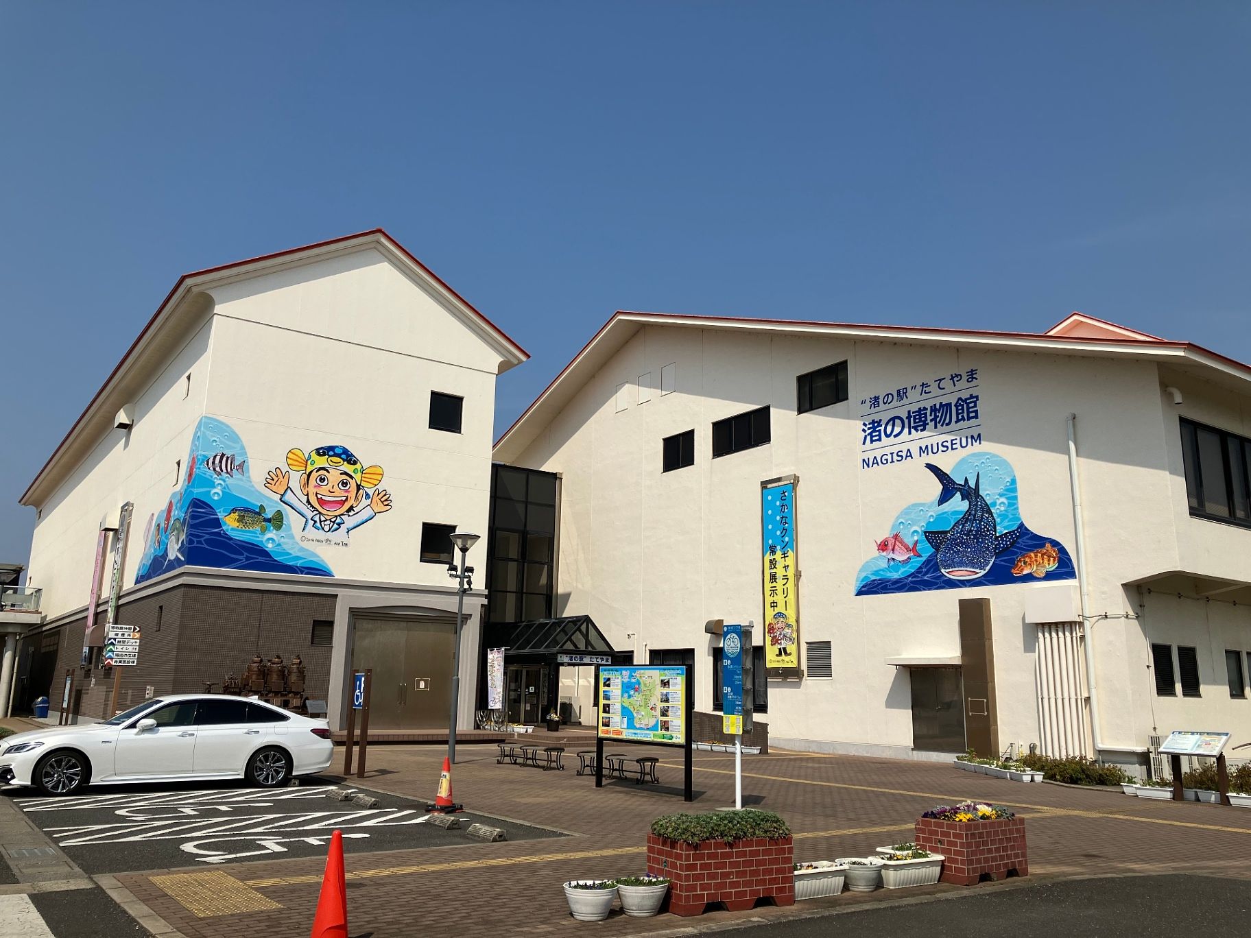 【渚の駅たてやま】海のマルシェでは農家さんとお客様をつなぐ直売所で色とりどりの産直野菜が並んでいます