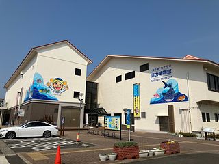 【渚の駅たてやま】海のマルシェでは農家さんとお客様をつなぐ直売所で色とりどりの産直野菜が並んでいます