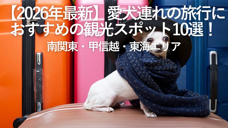 【2026年最新】愛犬連れの旅行におすすめの観光スポット10選！南関東・甲信越・東海エリア