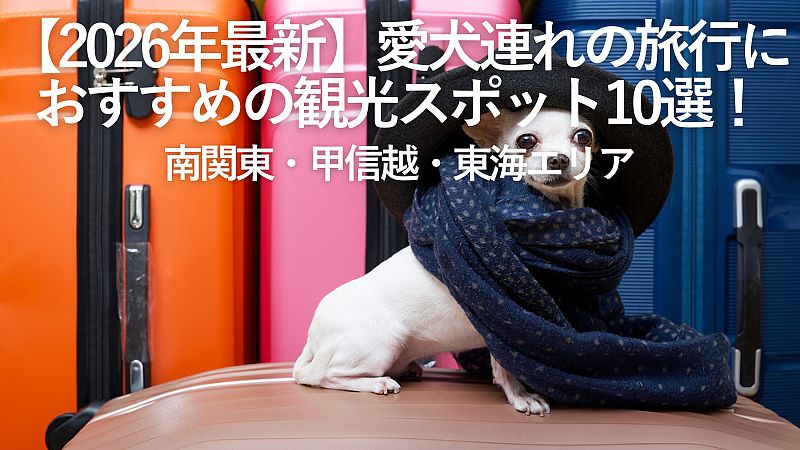 【2026年最新】愛犬連れの旅行におすすめの観光スポット10選!南関東・甲信越・東海エリア