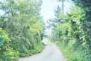 HERMiT ichinomiya ハーミットいちのみや-image