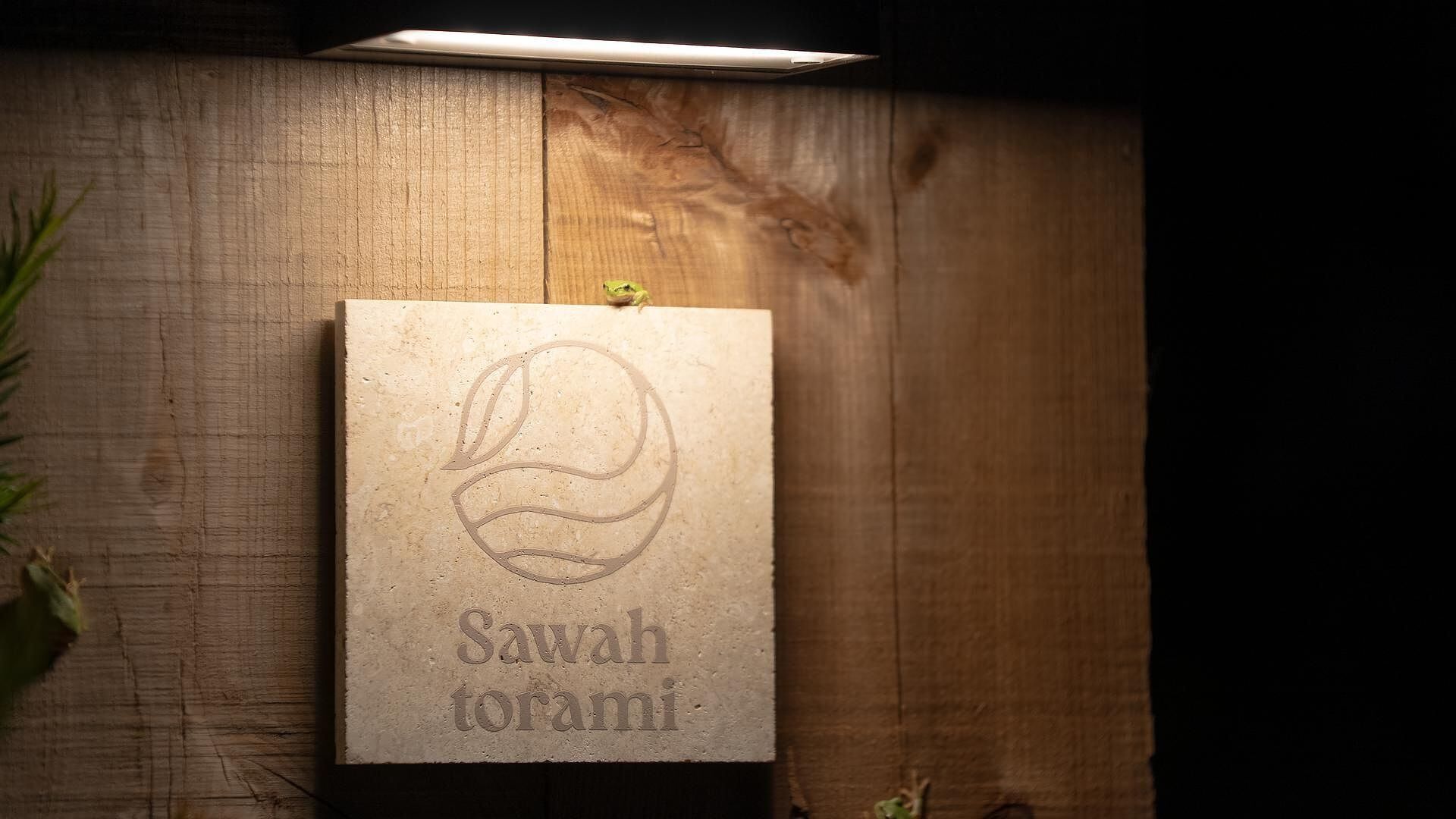 sawah torami-image