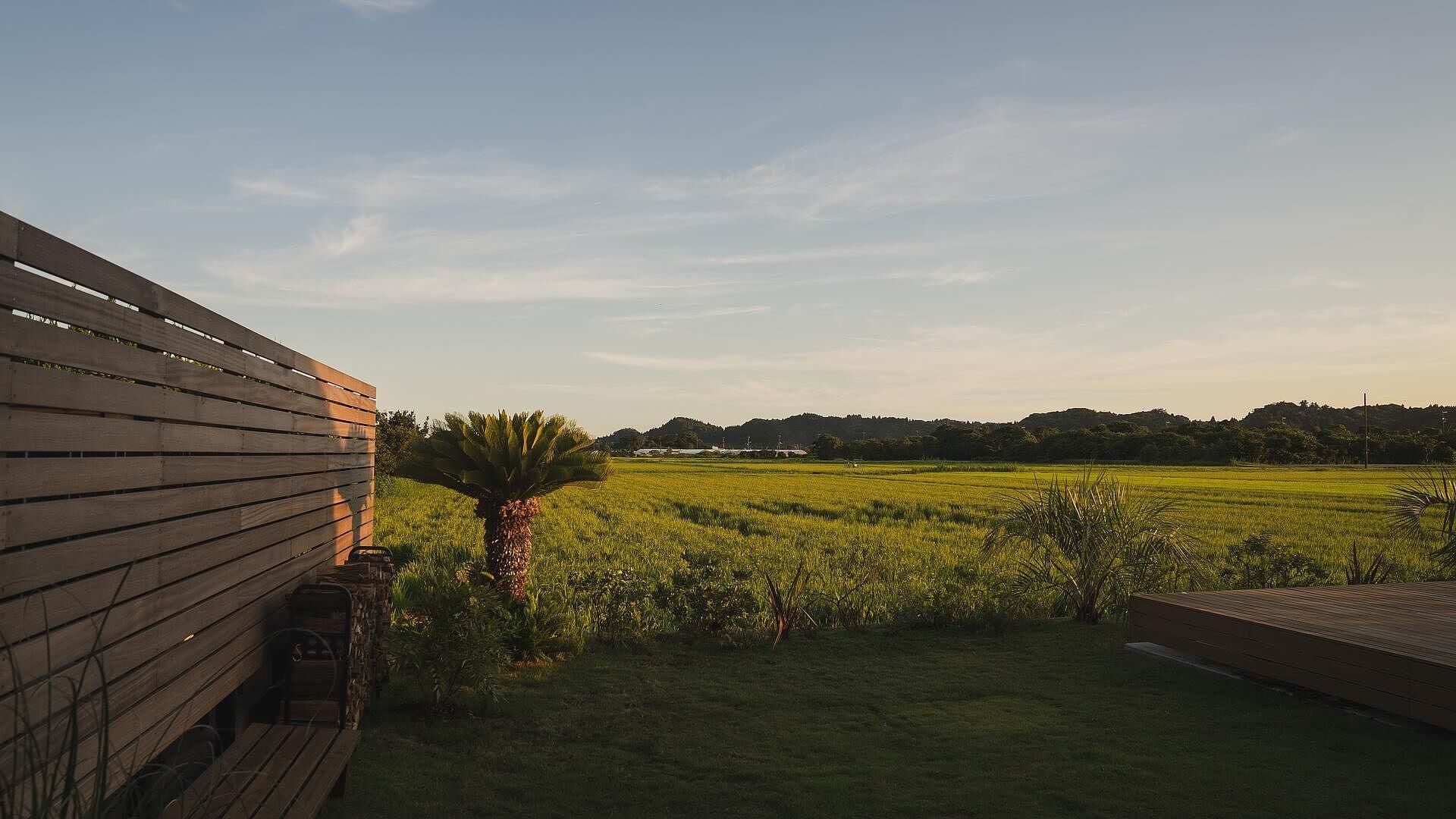 sawah torami-image