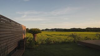 sawah torami-image
