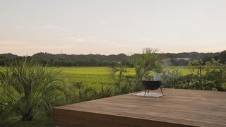 sawah torami-image