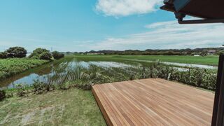 sawah torami-image