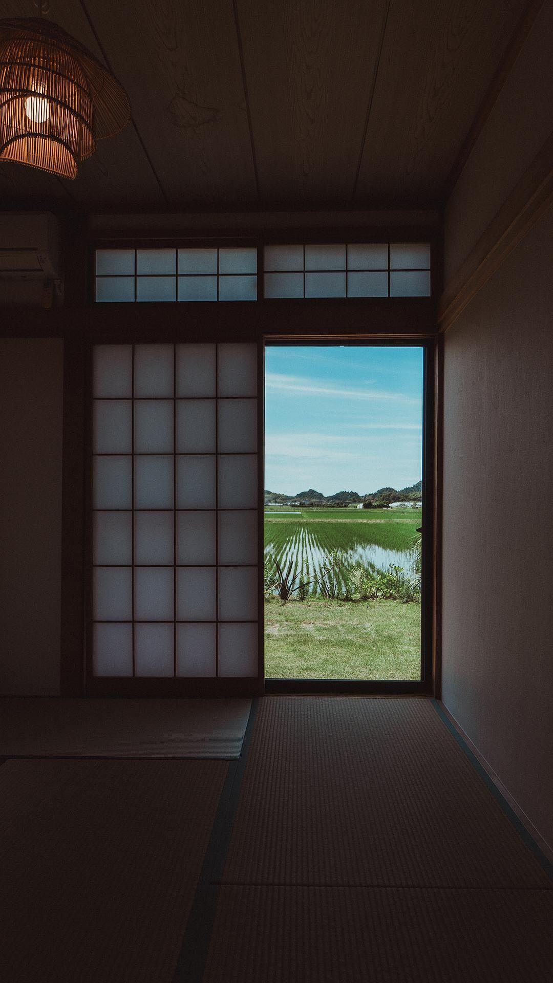 sawah torami-image