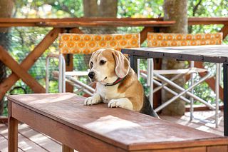 SumeraResortShikomaTerrace-image