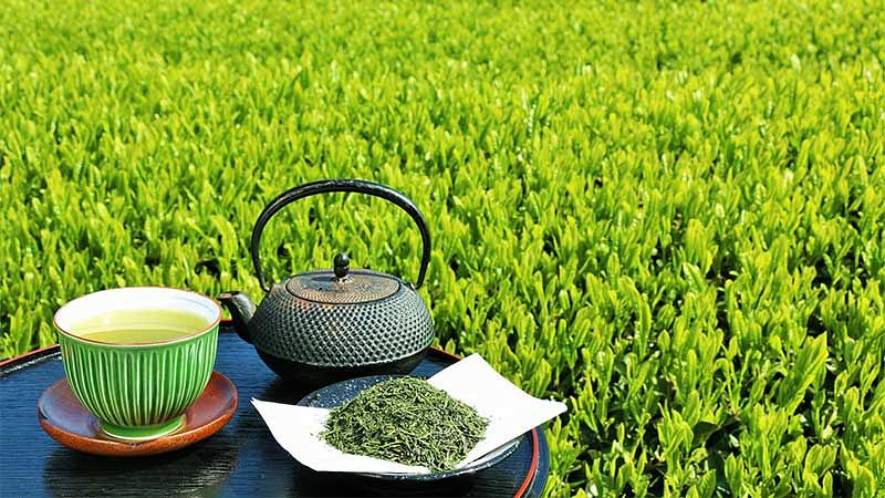 その他の5月の行事と食べ物