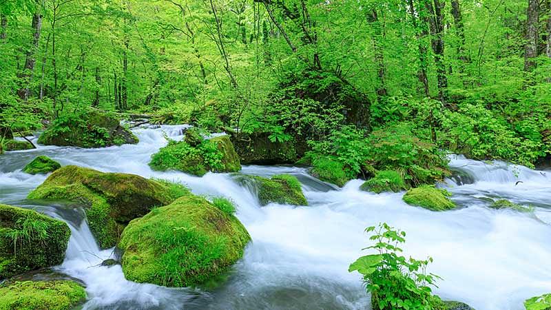 GW穴場旅行先の選び方と比較一覧