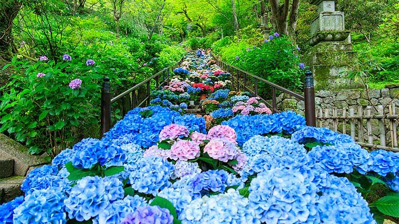 【関東近郊】神奈川・埼玉・千葉の名所6選