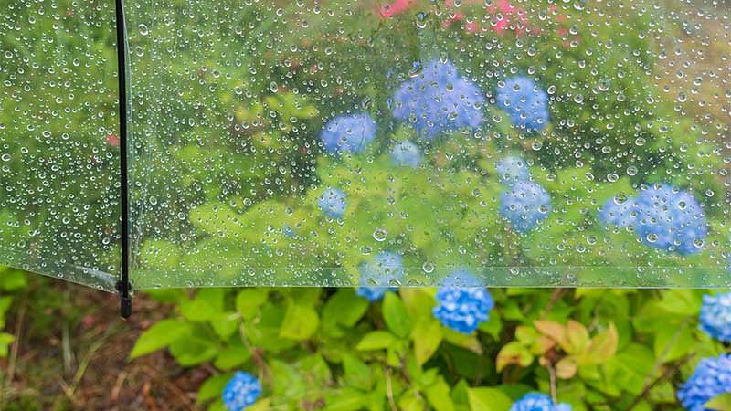 梅雨のお出かけ準備！服装・持ち物リスト