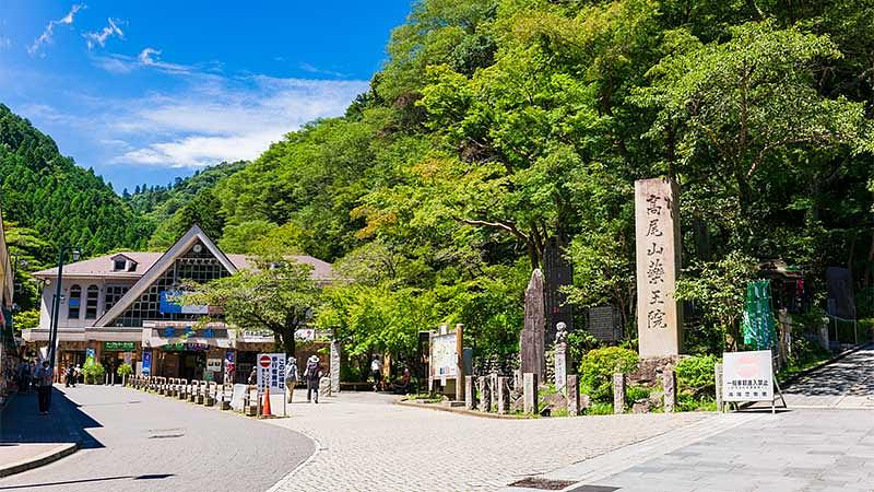 年齢別！関東の子連れハイキングおすすめ15選