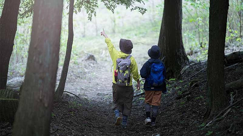 当日の安全管理とトラブル対策