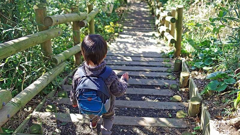 初心者必見！コース選びで失敗しない5つのポイント