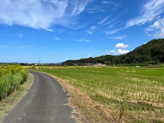近隣の風景