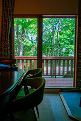 ダイニングルームから見える庭の緑