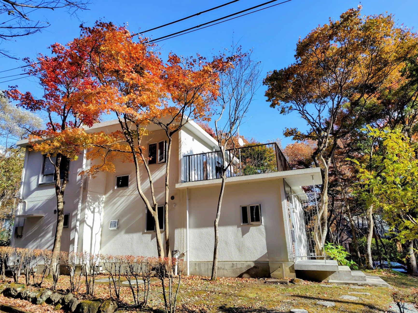 秋の紅葉の頃。11月下旬ぐらいの様子