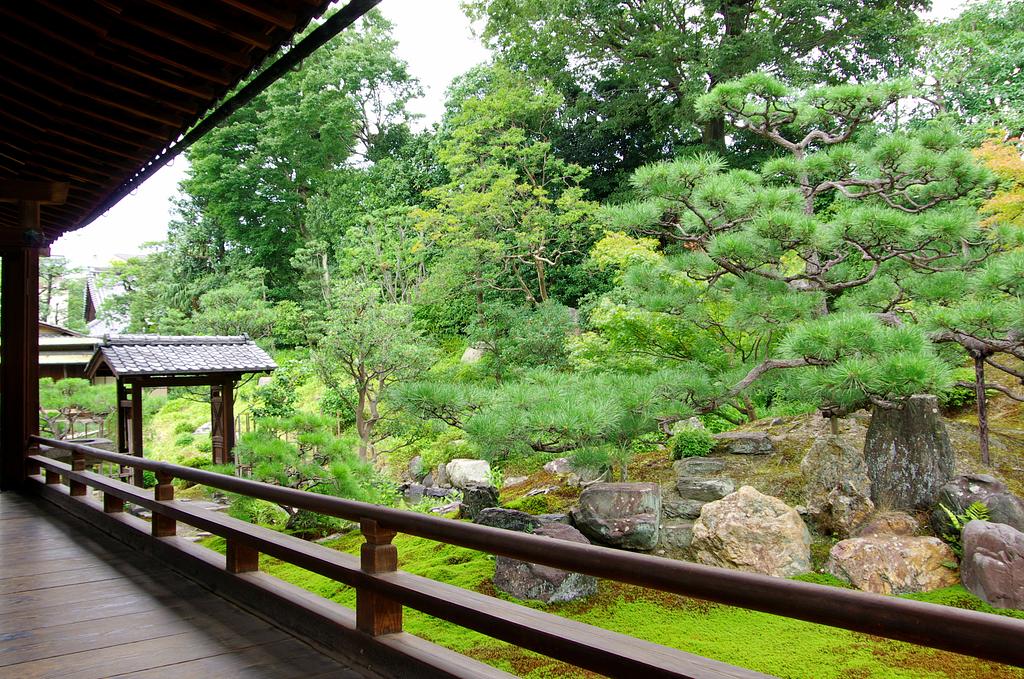 京都府 | 両足院