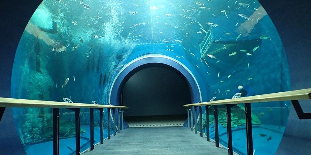 滋賀県 | 琵琶湖博物館