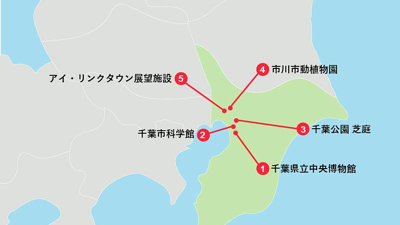 知的好奇心と憩いの時間を満喫！千葉・市川エリアでおすすめの穴場観光スポット5選