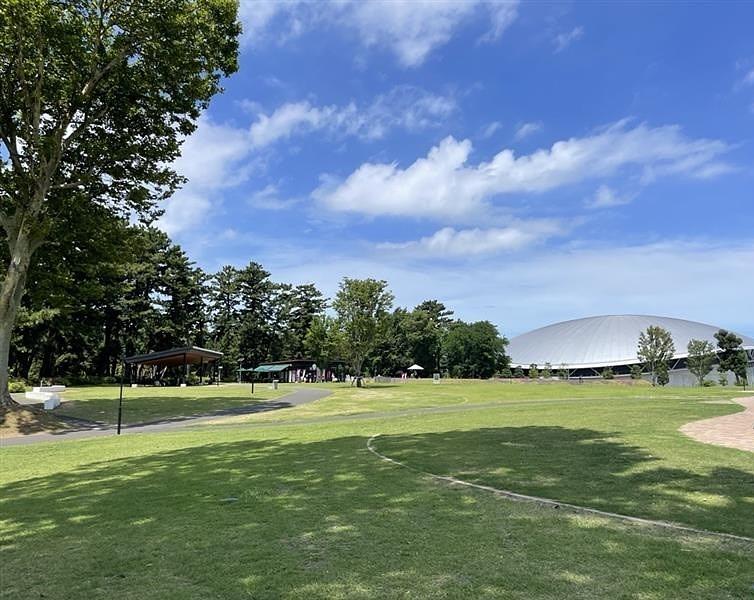 千葉市 | 千葉公園 芝庭