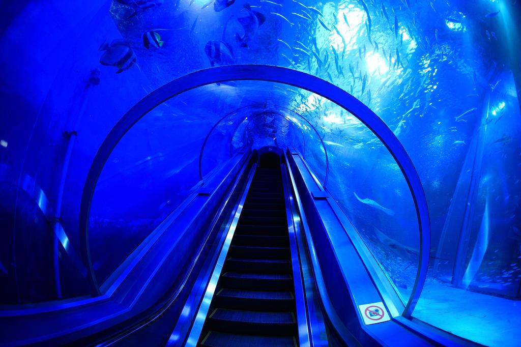 神奈川県 | 横浜・八景島シーパラダイス